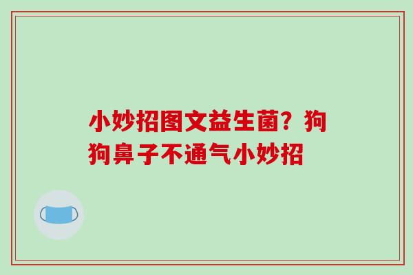 小妙招图文益生菌？狗狗鼻子不通气小妙招