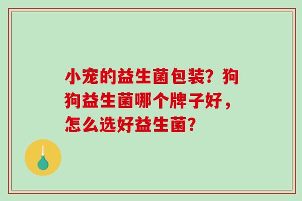 小宠的益生菌包装？狗狗益生菌哪个牌子好，怎么选好益生菌？