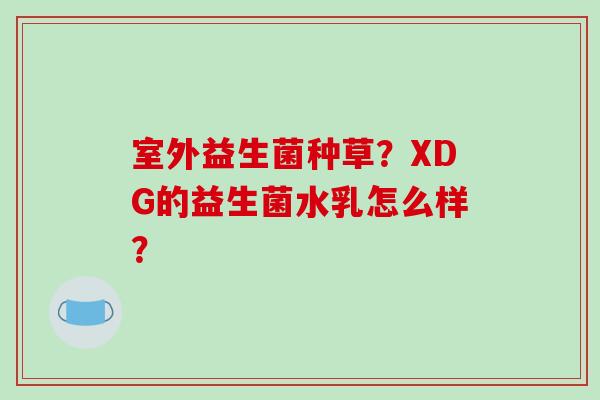 室外益生菌种草？XDG的益生菌水乳怎么样？