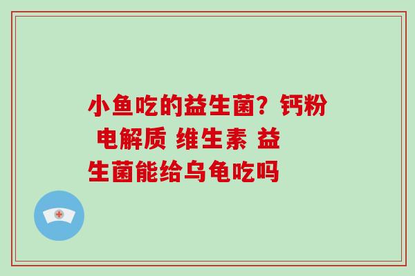 小鱼吃的益生菌？钙粉 电解质 维生素 益生菌能给乌龟吃吗