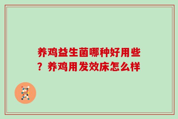 养鸡益生菌哪种好用些？养鸡用发效床怎么样
