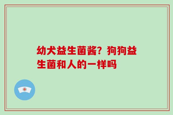 幼犬益生菌酱？狗狗益生菌和人的一样吗