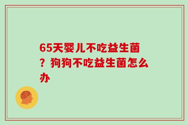 65天婴儿不吃益生菌？狗狗不吃益生菌怎么办