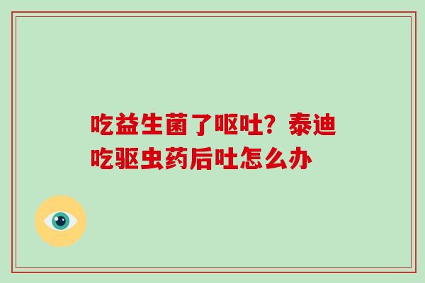 吃益生菌了？泰迪吃驱虫药后吐怎么办