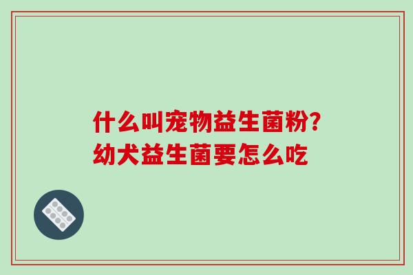 什么叫宠物益生菌粉？幼犬益生菌要怎么吃