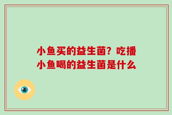 小鱼买的益生菌？吃播小鱼喝的益生菌是什么