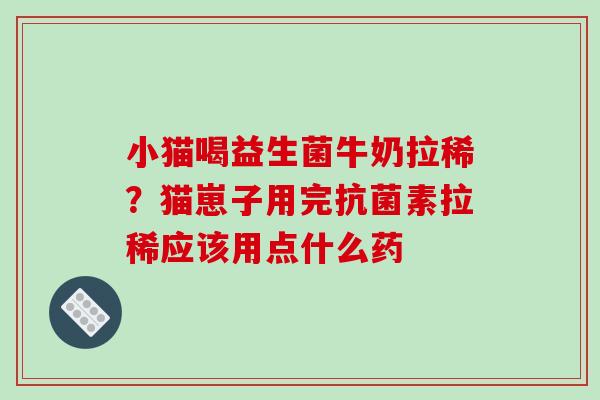 小猫喝益生菌牛奶拉稀？猫崽子用完抗菌素拉稀应该用点什么药