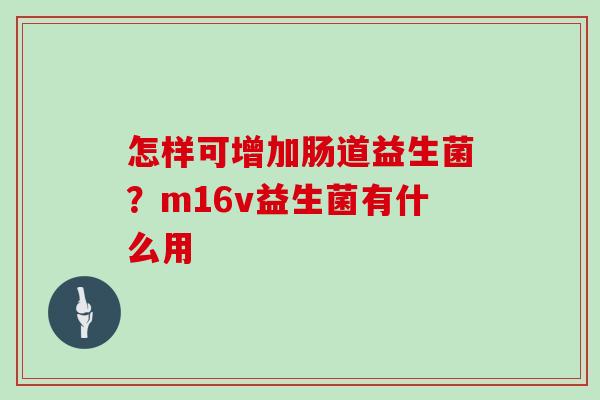 怎样可增加肠道益生菌？m16v益生菌有什么用