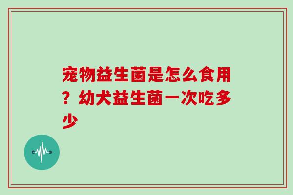 宠物益生菌是怎么食用？幼犬益生菌一次吃多少