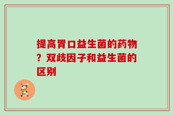 提高胃口益生菌的？双歧因子和益生菌的区别