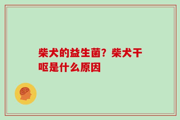 柴犬的益生菌？柴犬干呕是什么原因