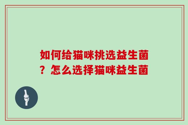 如何给猫咪挑选益生菌？怎么选择猫咪益生菌