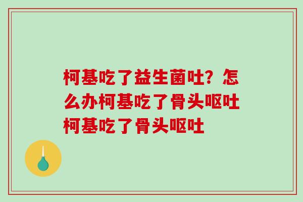 柯基吃了益生菌吐？怎么办柯基吃了骨头柯基吃了骨头