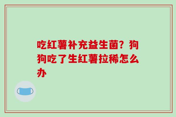 吃红薯补充益生菌？狗狗吃了生红薯拉稀怎么办