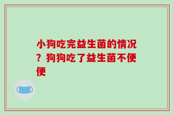 小狗吃完益生菌的情况？狗狗吃了益生菌不便便