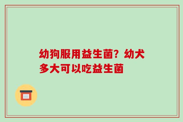 幼狗服用益生菌？幼犬多大可以吃益生菌