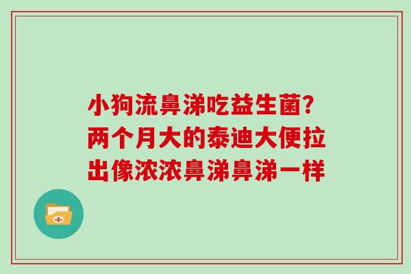 小狗流鼻涕吃益生菌？两个月大的泰迪大便拉出像浓浓鼻涕鼻涕一样