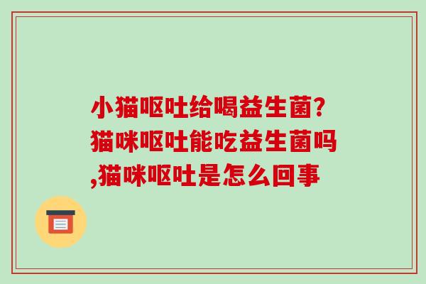 小猫呕吐给喝益生菌？猫咪呕吐能吃益生菌吗,猫咪呕吐是怎么回事