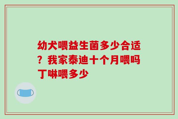 幼犬喂益生菌多少合适？我家泰迪十个月喂吗丁啉喂多少