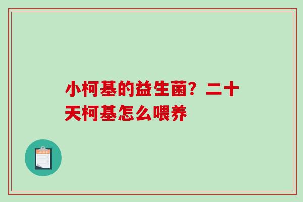 小柯基的益生菌？二十天柯基怎么喂养