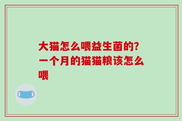 大猫怎么喂益生菌的？一个月的猫猫粮该怎么喂