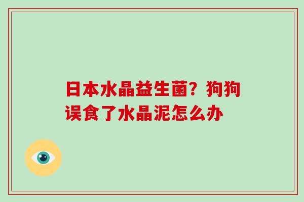 日本水晶益生菌？狗狗误食了水晶泥怎么办