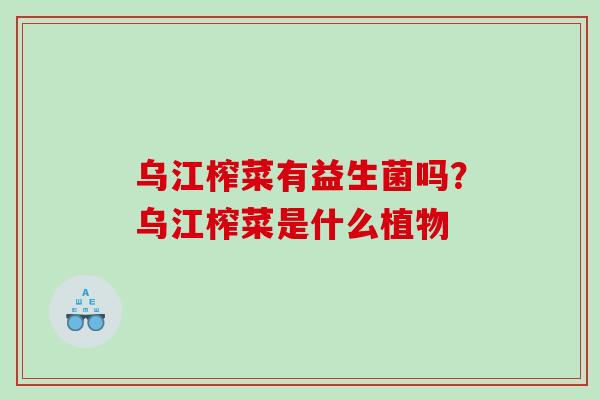 乌江榨菜有益生菌吗?乌江榨菜是什么植物 乌江榨菜有益生菌吗?乌江榨菜是什么植物