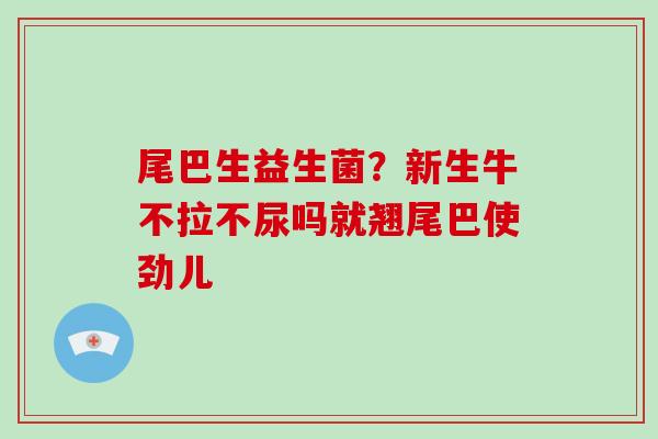 尾巴生益生菌？新生牛不拉不尿吗就翘尾巴使劲儿