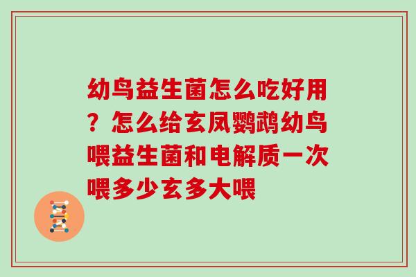 幼鸟益生菌怎么吃好用？怎么给玄凤鹦鹉幼鸟喂益生菌和电解质一次喂多少玄多大喂