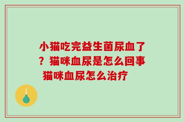 小猫吃完益生菌尿血了？猫咪血尿是怎么回事 猫咪血尿怎么治疗