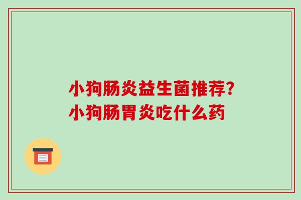 小狗益生菌推荐？小狗肠吃什么药