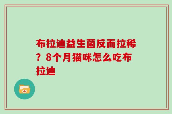 布拉迪益生菌反而拉稀？8个月猫咪怎么吃布拉迪