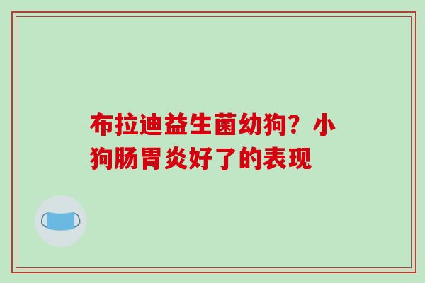 布拉迪益生菌幼狗？小狗肠好了的表现