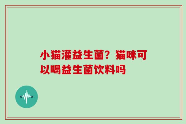 小猫灌益生菌?猫咪可以喝益生菌饮料吗 小猫灌益生菌?猫咪可以喝益生菌饮料吗
