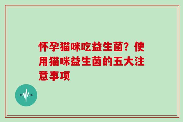 怀孕猫咪吃益生菌？使用猫咪益生菌的五大注意事项