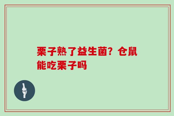 栗子熟了益生菌？仓鼠能吃栗子吗