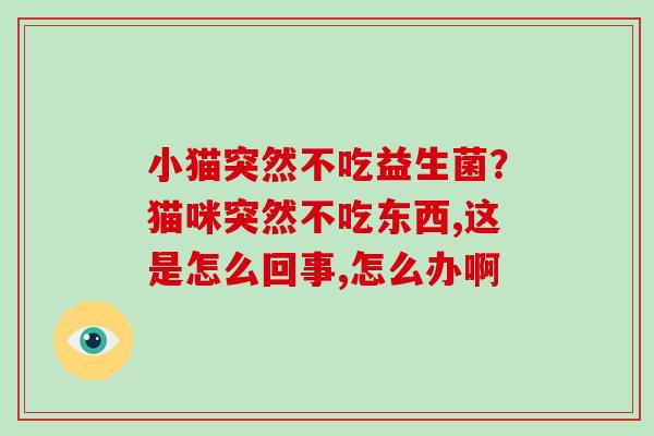小猫突然不吃益生菌？猫咪突然不吃东西,这是怎么回事,怎么办啊