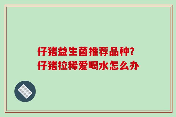 仔猪益生菌推荐品种？仔猪拉稀爱喝水怎么办