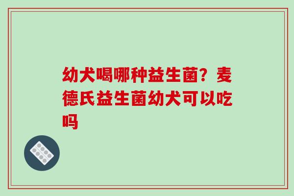 幼犬喝哪种益生菌？麦德氏益生菌幼犬可以吃吗