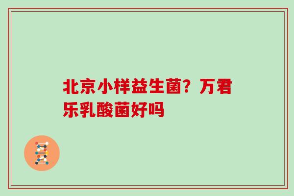 北京小样益生菌？万君乐乳酸菌好吗