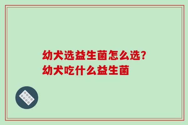 幼犬选益生菌怎么选？幼犬吃什么益生菌