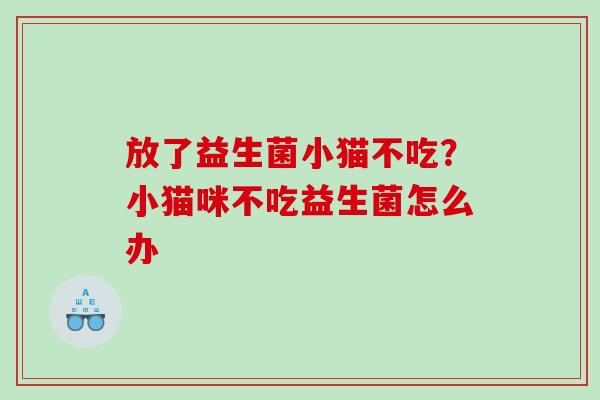 放了益生菌小猫不吃？小猫咪不吃益生菌怎么办