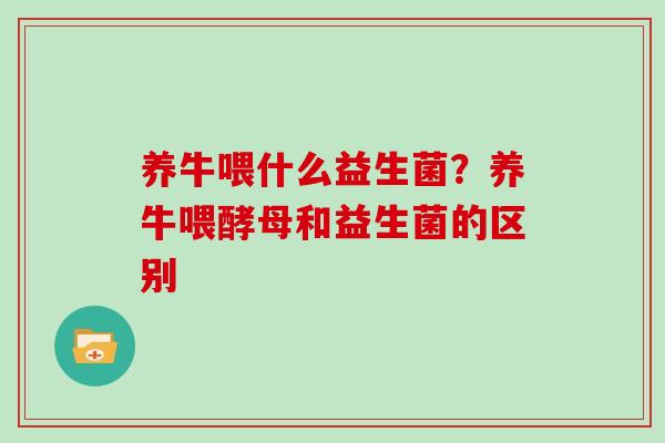 养牛喂什么益生菌？养牛喂酵母和益生菌的区别