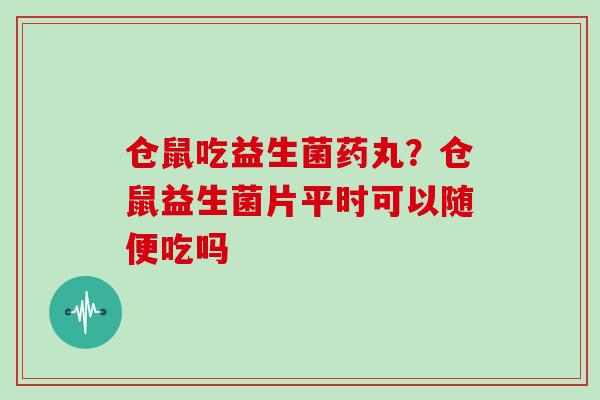 仓鼠吃益生菌药丸？仓鼠益生菌片平时可以随便吃吗