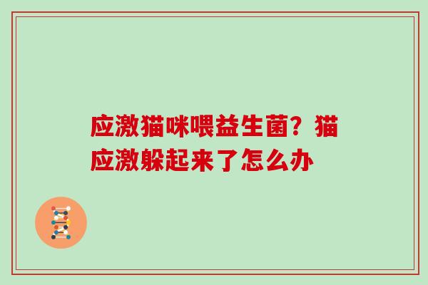 应激猫咪喂益生菌?猫应激躲起来了怎么办 应激猫咪喂益生菌?猫应激躲起来了怎么办