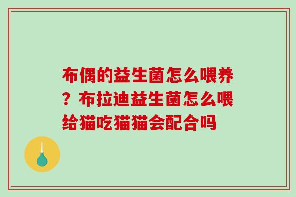 布偶的益生菌怎么喂养？布拉迪益生菌怎么喂给猫吃猫猫会配合吗