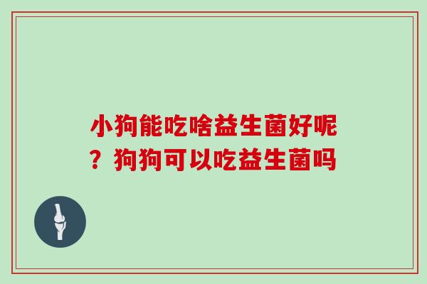 小狗能吃啥益生菌好呢？狗狗可以吃益生菌吗