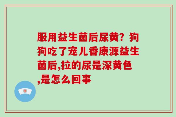 服用益生菌后尿黄？狗狗吃了宠儿香康源益生菌后,拉的尿是深黄色,是怎么回事