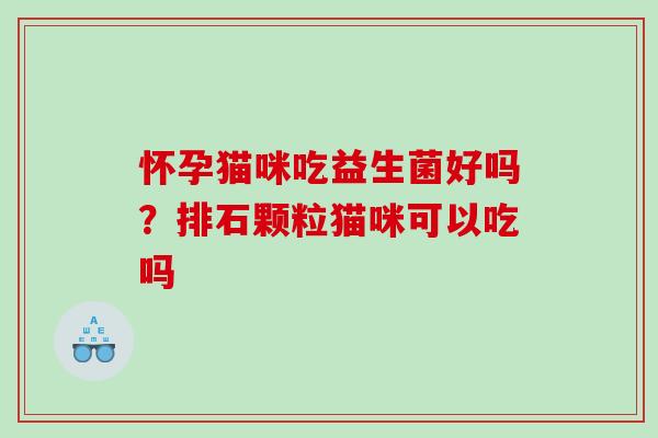 怀孕猫咪吃益生菌好吗？排石颗粒猫咪可以吃吗