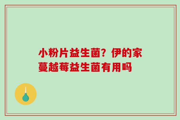 小粉片益生菌？伊的家蔓越莓益生菌有用吗